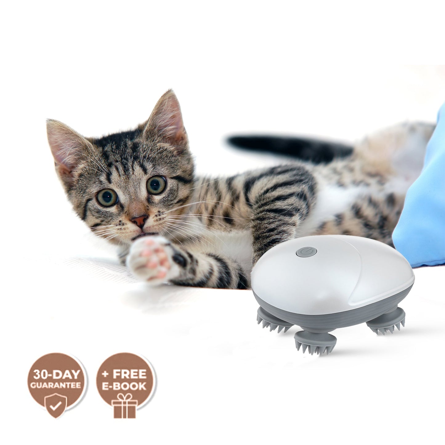 DIYeria™ | Mini Electric Pet Massager