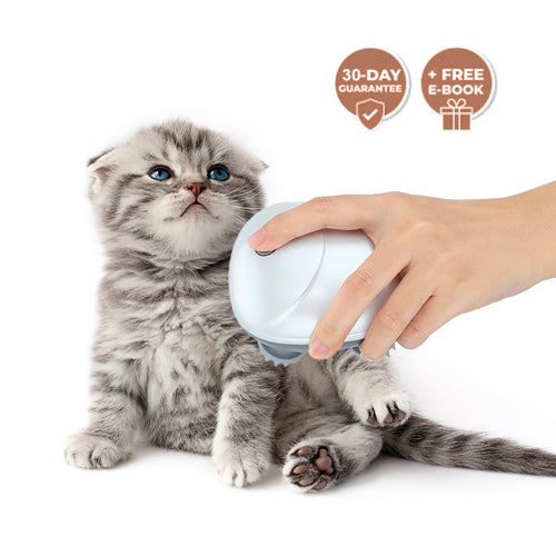 DIYeria™ | Mini Electric Pet Massager