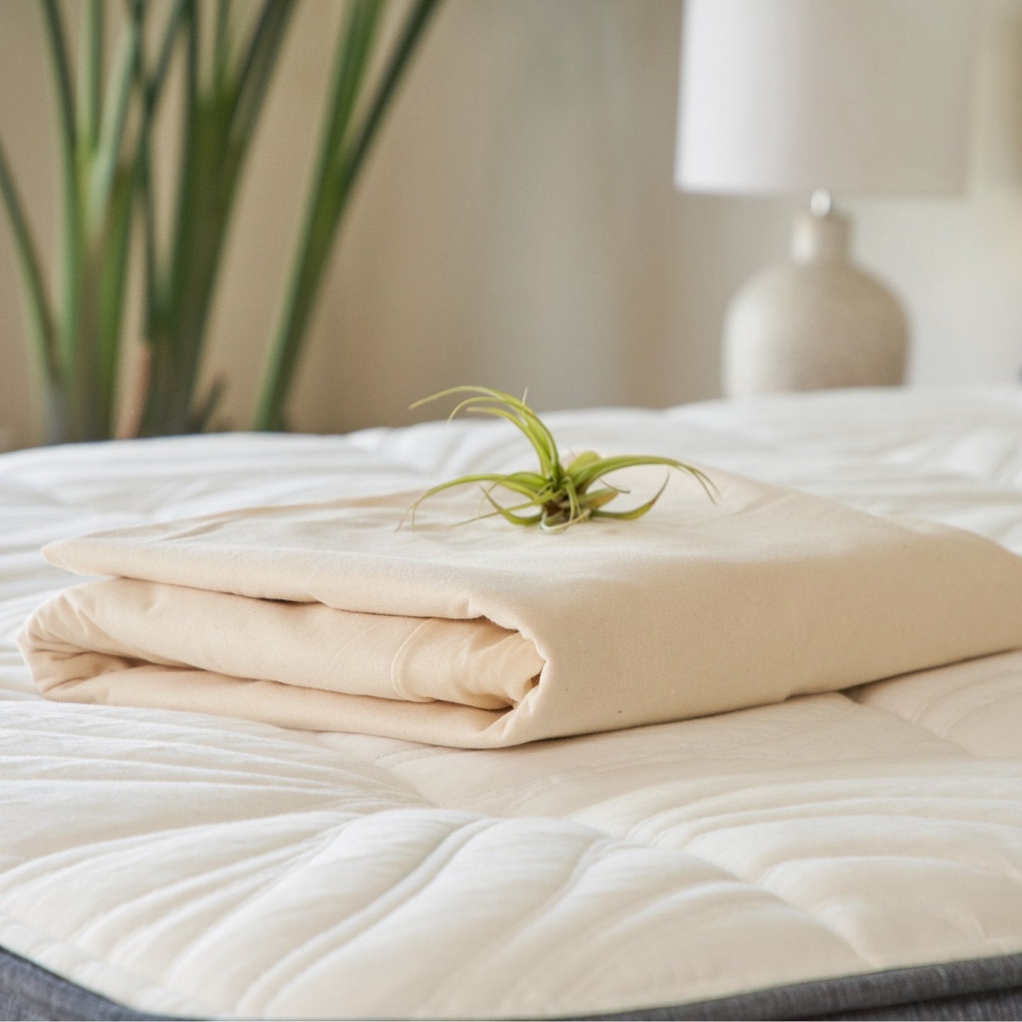 DIYeria™ | Organic Waterproof Mattress Protector